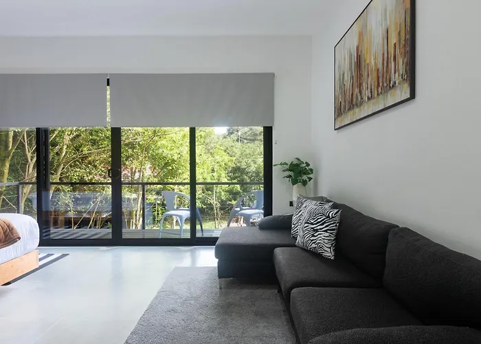 Casa Violeta Home Rentals